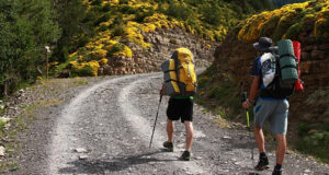 Exercice de randonnée sur tapis de course